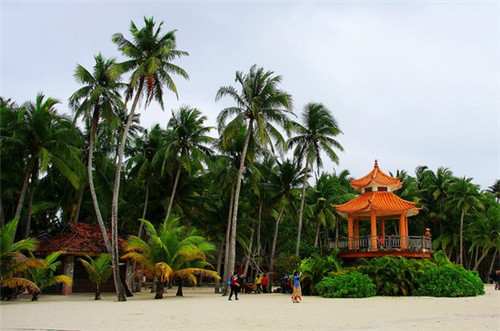 诚美重庆酸辣粉