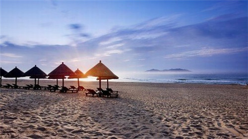 什么奶茶店有熊猫奶茶，奶茶品牌熊猫