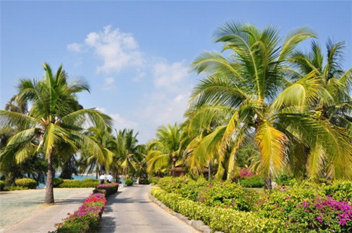 药膳火锅策划书怎么写的，药膳火锅解决了用户什么需求