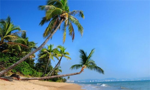 金平苗族瑶族傣族自治县开店电动两轮车招商加盟好项目有哪些