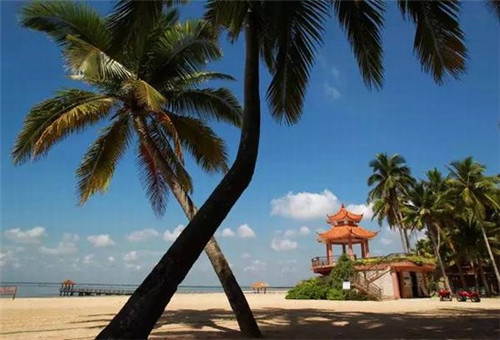 苹果外面的蜡能吃吗（苹果外面的蜡可以吃吗）