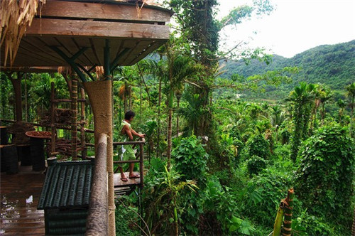 多拉打印官网app，多拉打印怎么加盟费