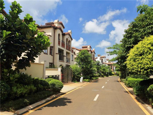 泰国旅游能看到什么景点（泰国旅游能看到什么景点好玩）