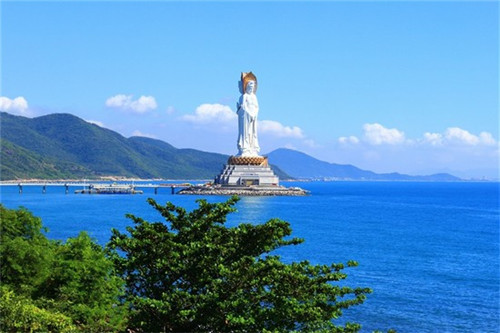 软木墙板加盟代理好项目有哪些（软木墙板的优缺点）