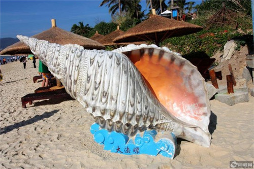 香蕉什么品牌（香蕉哪个品牌好）